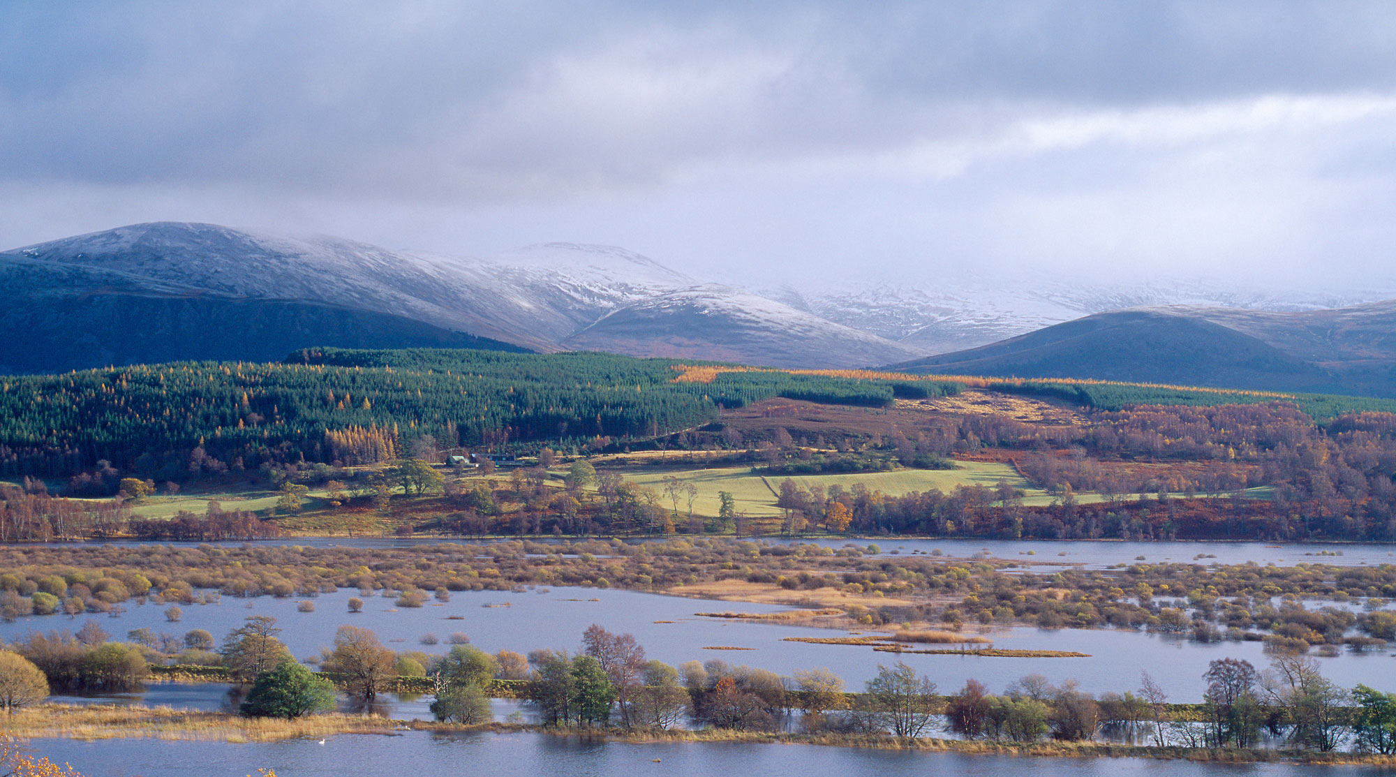 NATURAL FLOOD MANAGEMENT NETWORK SCOTLAND