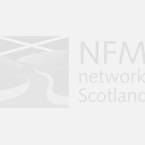 NFM Image