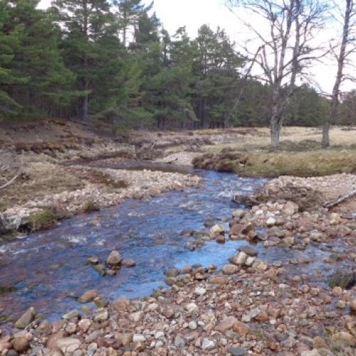 Allt Lorgy, River Dulnain, Spey Catchment