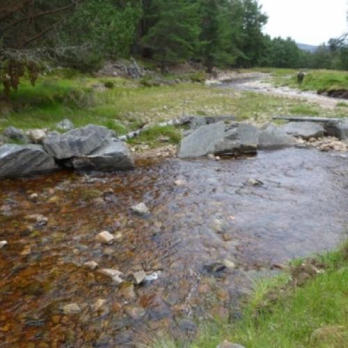 Allt Lorgy, River Dulnain, Spey Catchment