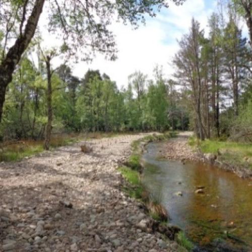 Allt Lorgy, River Dulnain, Spey Catchment