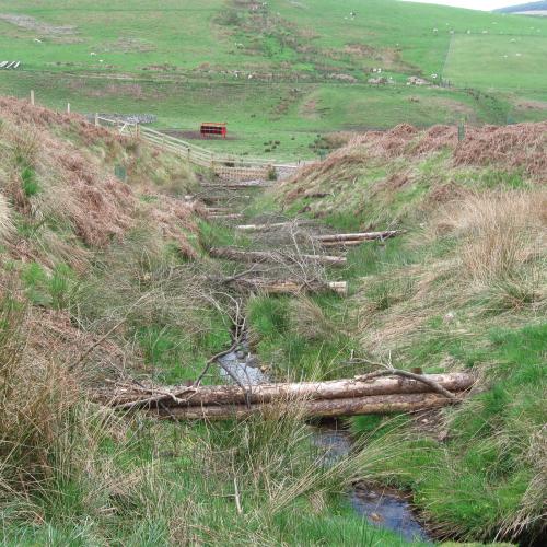 Bowmont Catchment, Tweed Catchment