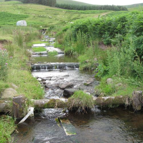 Bowmont Catchment, Tweed Catchment
