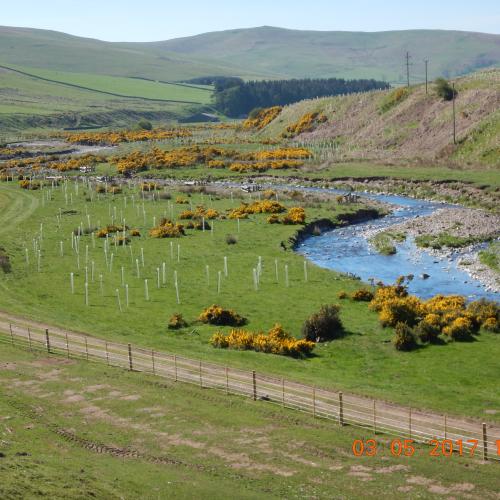 Bowmont Catchment, Tweed Catchment