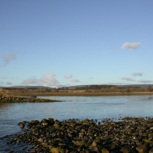 Nigg Bay Coastal Re-alignment