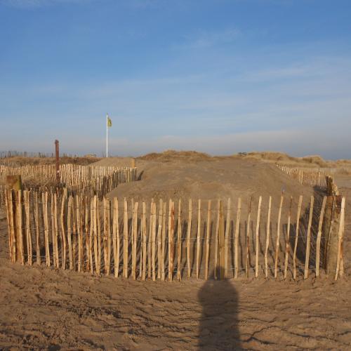 West Sands Beach, St Andrews