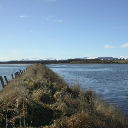 Nigg Bay Coastal Re-alignment