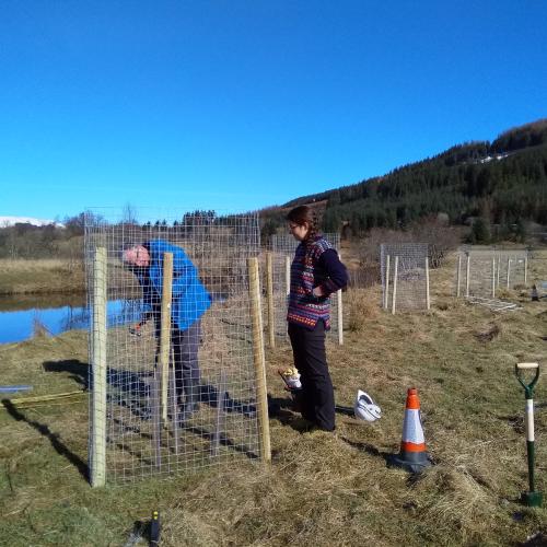 Stroneslaney Riparian Tree Planting Project