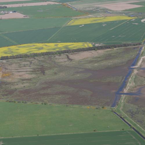 Nigg Bay Coastal Re-alignment