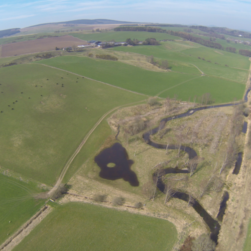 Eddleston Water, Tweed Catchment