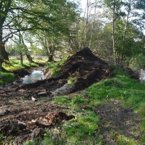 Logie Burn Restoration, Dee catchment
