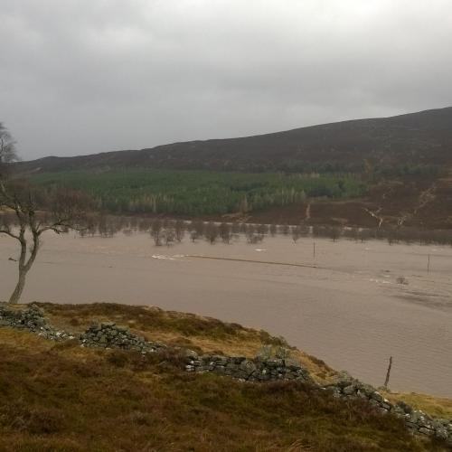 Braemar floodplain restoration, River Dee