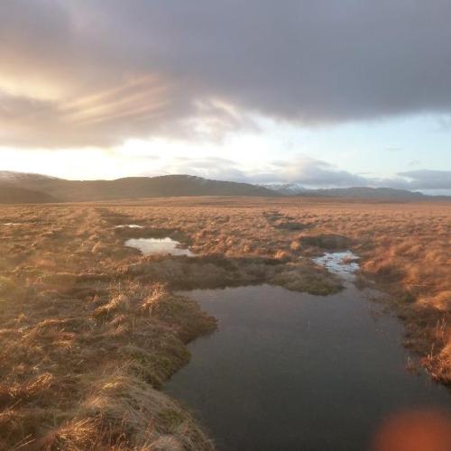 Peatland Action Report- 500773 Dunruchan Farm Peatland Restoration Project