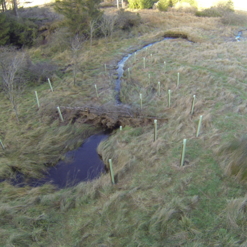 Eddleston Water, Tweed Catchment