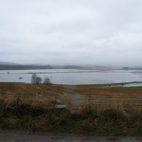 Flooded Floodplain
