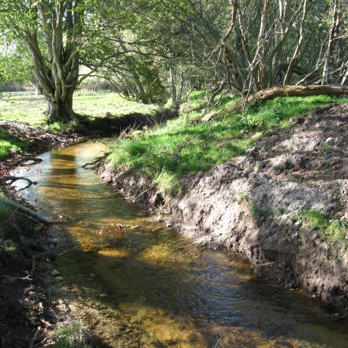 Logie Burn Restoration, Dee catchment