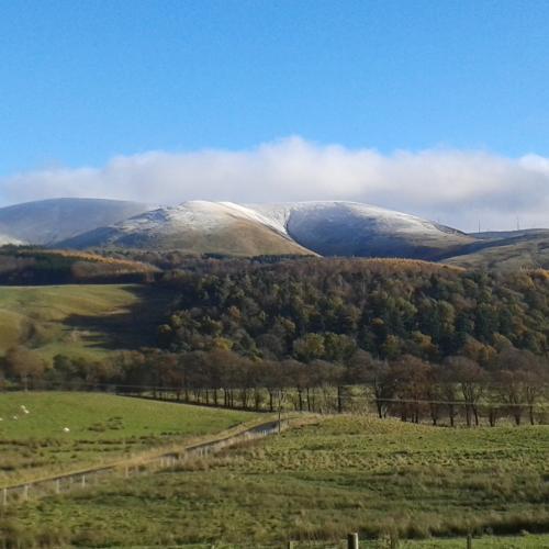 PhD opportunity on NFM in Scotland