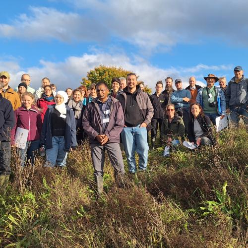 Introducing SpongeScapes: Enhancing Europe's Climate Resilience with Sponge Measures