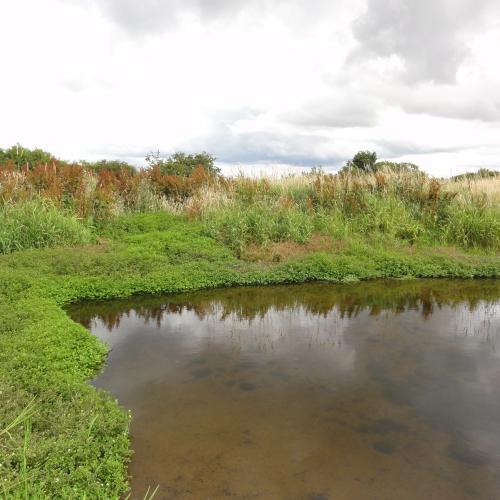  Water Metrics and Standards: Review of current approaches, challenges and issues