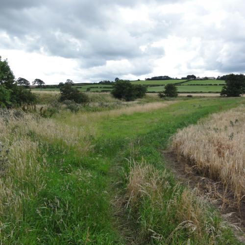  Research article on the development of a decision framework selecting between riparian management measures for farmed land now published