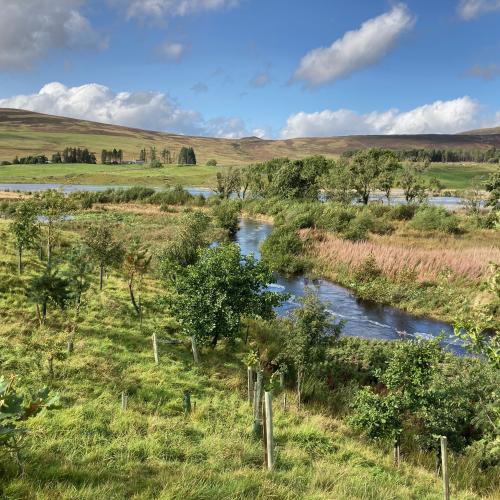 Your views on Riparian woodland evidence gaps