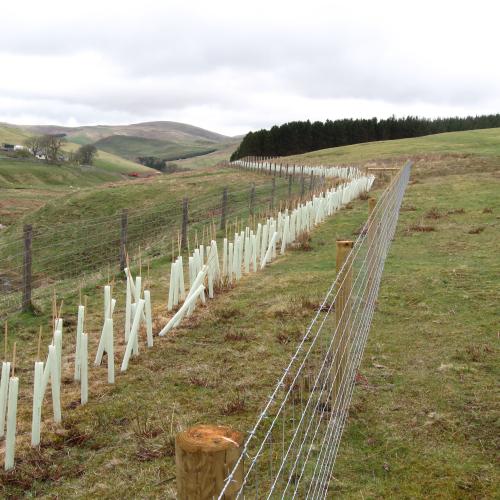 Working with natural processes - webinar recording now available