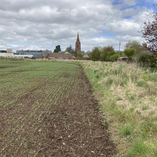 A soil route map for Scotland​