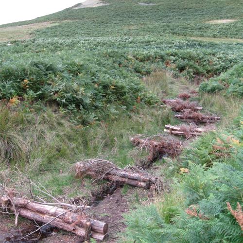 Paper published on the hydro-geomorphic effects of wooden leaky barriers in a steep headwater stream