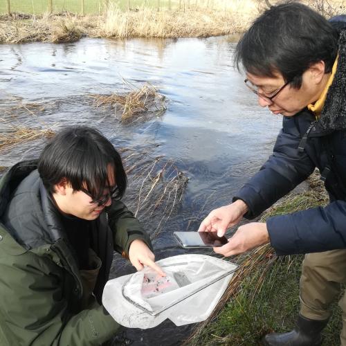 Professor Yukihiro Shimatani inspecting mayfly and stonefly larvae from the river channel