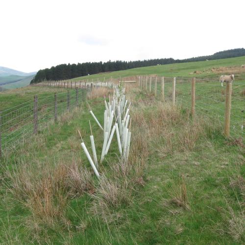 Natural Flood Management - A Farmer's Guide published by SRUC