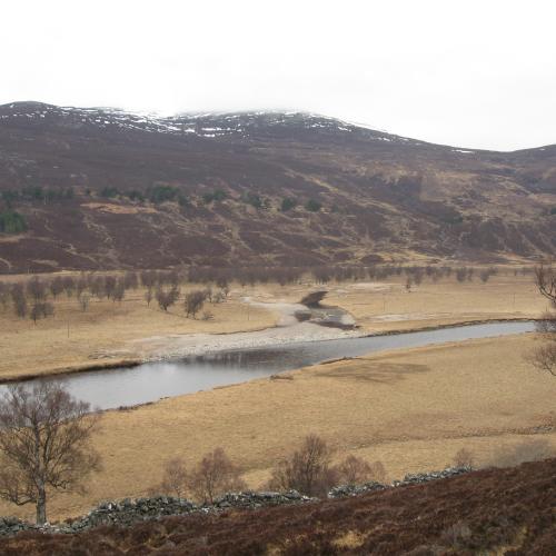Floodplains report