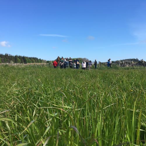 Delivering Nature-Based Solutions workshop