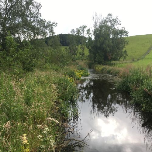 Building with Nature project output library