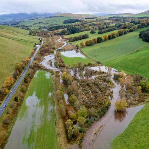flooded meanders, created as part of the Eddleston Water project