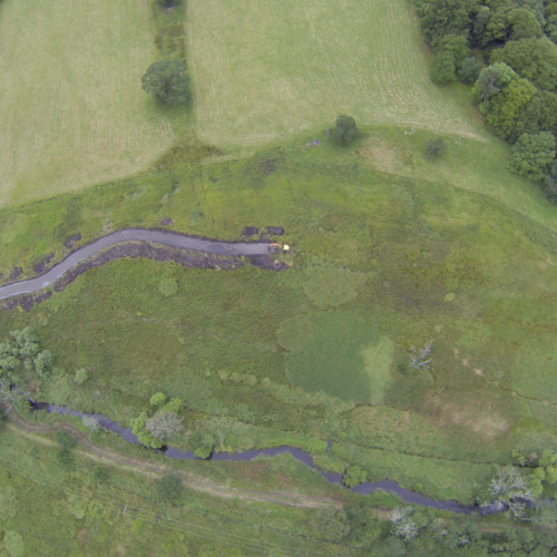 Demonstrating the value of Building with Nature in practice