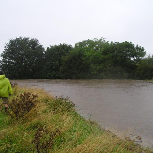 New data-based analysis tool for functioning of natural flood management measures