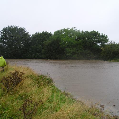Paper highlights the potential of runoff attenuation features as a NFM approach