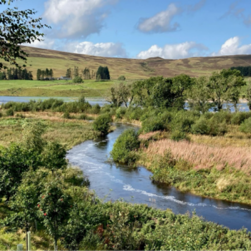 Prioritising research and development gap opportunities for river woodlands