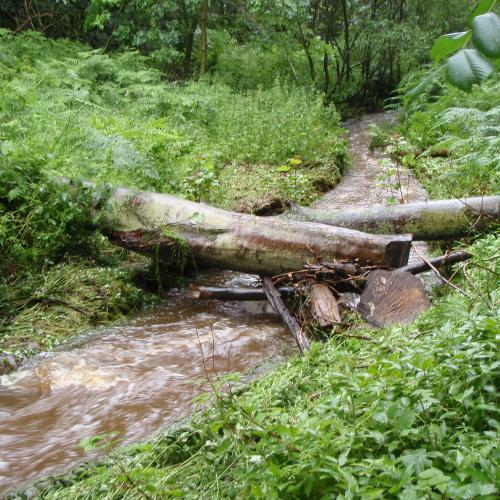 Representing natural and artificial in-channel large wood in numerical hydraulic and hydrological models