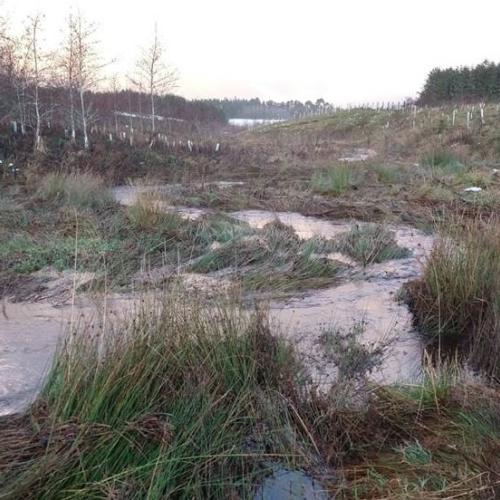 Results published from Eddleston NFM study