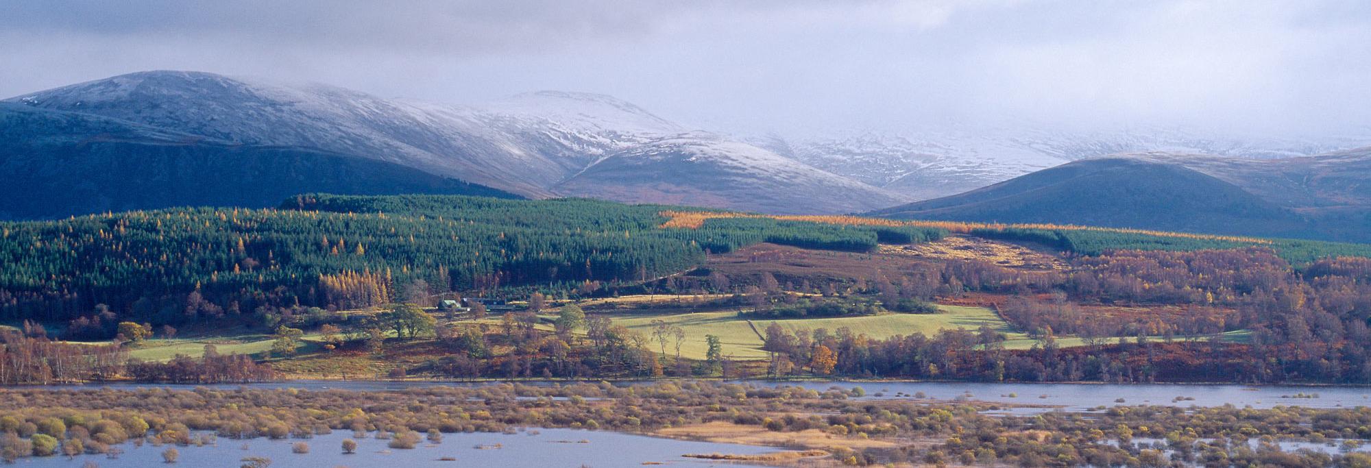 NATURAL FLOOD MANAGEMENT NETWORK SCOTLAND