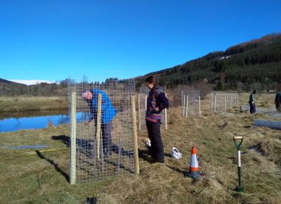 Stroneslaney Riparian Tree Planting Project