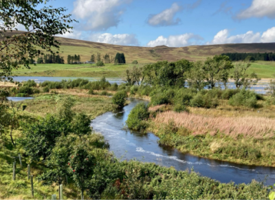 Prioritising research and development gap opportunities for river woodlands